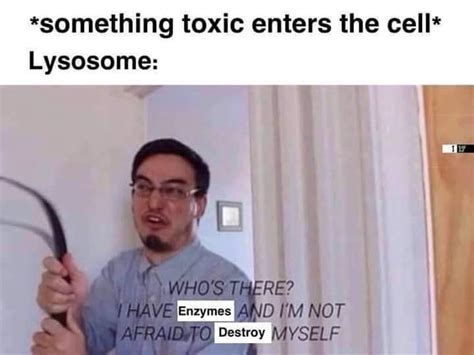 lysosomes really do that tho : r/memes