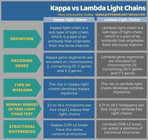 Kappa vs Lambda Light Chains - Tabular Form | String theory, Theories, Molecular