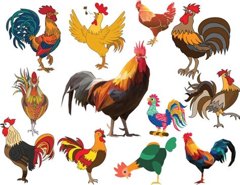 Rooster Clipart Chicken PNG Watercolor Clip Art Farm Bird | Etsy