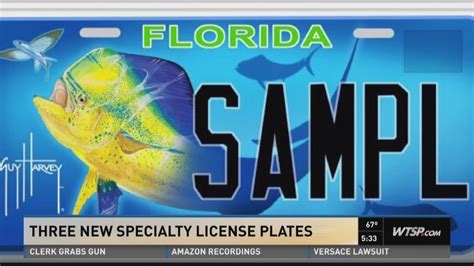 Are there too many FL specialty license plates? | wtsp.com