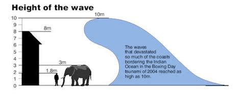 Tsunami Infographics - Best Of The Web - gCaptain