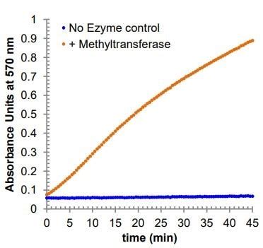 Methyltransferase Activity Assay Kit (Colorimetric) (ab273307) | Abcam