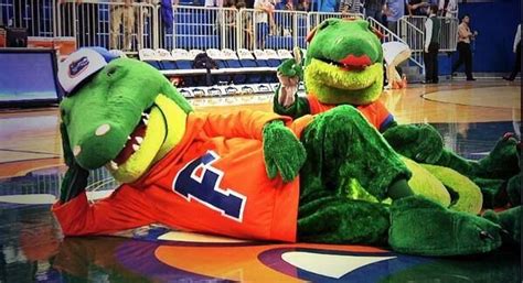 Albert and Alberta at the ODome for some BBall! Go Gators!! | Gator ...