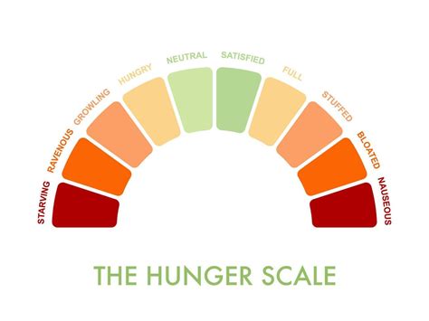 Hunger-fullness scale 0 to 10 for intuitive and mindful eating and diet control. Arch chart ...