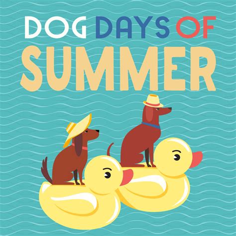 The origin story of the idiom 'dog days of summer' - Cottage Life