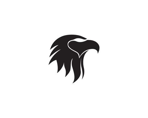 Eagle head bird logo and symbol vector 563628 Vector Art at Vecteezy