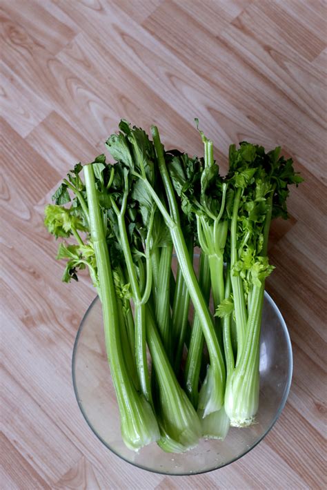 ORGANIC CELERY | www.UniverseAwaken.com | WILLPOWER STUDIOS | Flickr