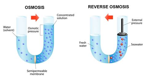 Reverse Osmosis Diagram