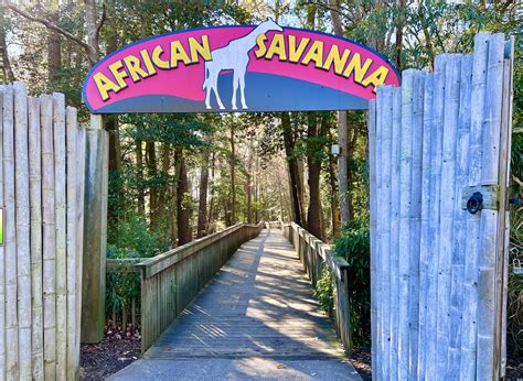 Cape May Zoo Savanna - Been There Done That with Kids