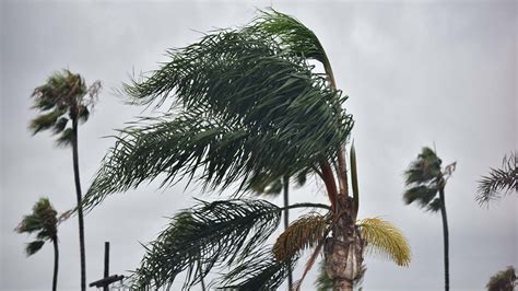 Strong Santa Ana Winds Forecast Tonight into Monday, Again Thursday ...