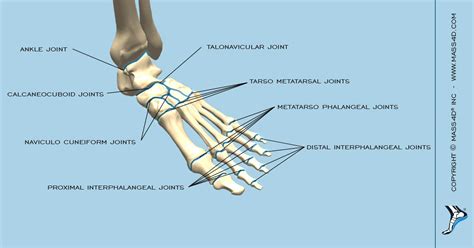 [DIAGRAM] Welding Joint Diagram - MYDIAGRAM.ONLINE