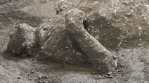 Pompeii eruption remains discovered in ancient ruins | World News | Sky News