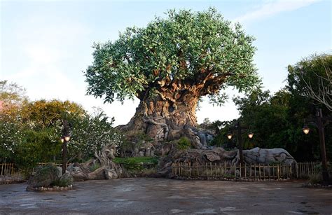 Tree of Life Grows New Roots at Disney’s Animal Kingdom | Disney Parks Blog