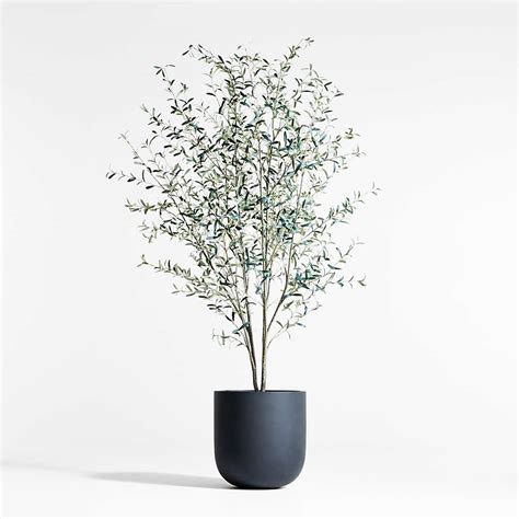 Potted Faux Olive Tree 9' + Reviews | Crate & Barrel Canada