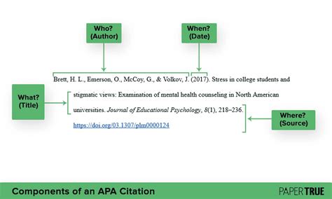 Apa Citation Format 2024 - Aurlie Trenna