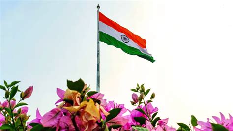 🔥 Flying India Flag Flower Background HD Images Wallpapers ( | CBEditz