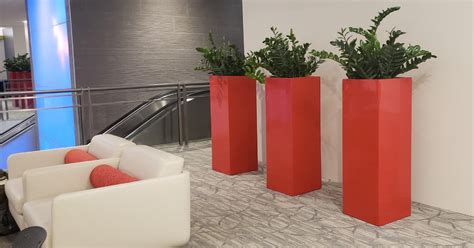 5 Plants for Low Light Office Spaces
