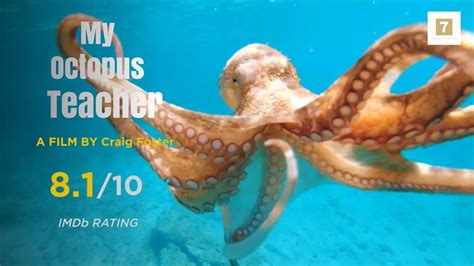 Academy Award-Winning Octopus Documentary | Craig Foster - YouTube
