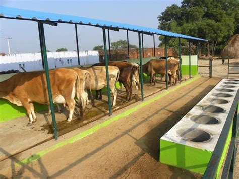 Mild Steel 10 Feet MS Prefabricated Farm Cattle Sheds, Rs 85 /kg | ID: 22121181755