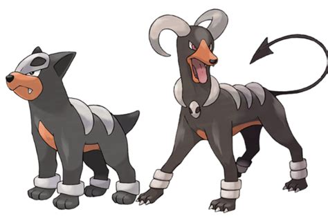 Dogs of the Pokémon Series | LevelSkip