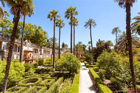 Matteo Colombo Travel Photography | Gardens of the royal palace (Alcazar) of Seville, Spain ...