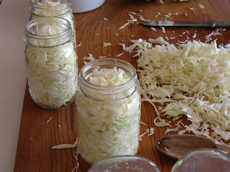 Blogger | Canning cabbage recipes, Homemade sauerkraut, Canning recipes