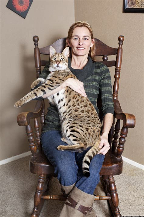 Guinness World Records 2013 Honorees Include Tallest Cat, Tallest Dog ...