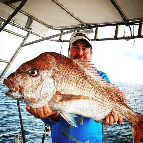 Snapper Fishing Gold Coast - How to catch Snapper - True Blue Fishing ...