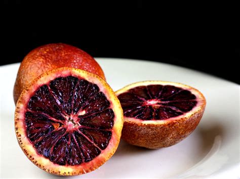 blood orange slice | Jessie Pearl | Flickr