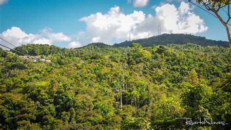 Guaynabo, Puerto Rico | OLYMPUS DIGITAL CAMERA | Flickr