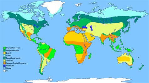 Biome Map Coloring Worksheet Answers - Printable Word Searches