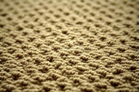 Carpet close-up stock photo. Image of home, floor, pattern - 7810006