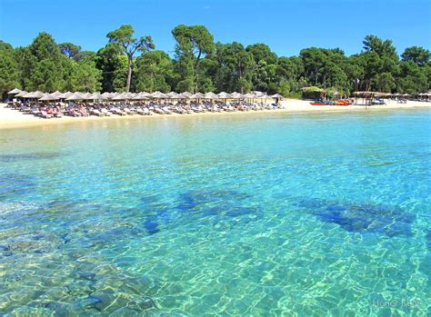 Koukounaries Beach - Skiathos, Greek Islands by Honor Kyne | Koukounaries beach skiathos ...