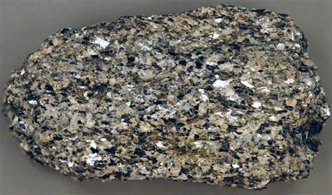 Manhattan Schist (4.6 cm across) from the Precambrian of New YorkCity, USA.