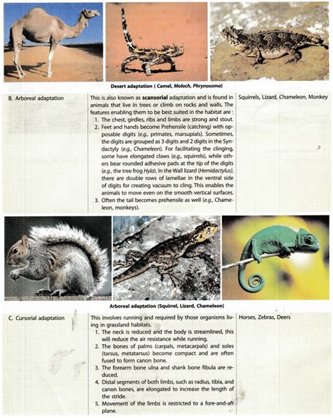 Ecological Adaptations - Adaptation and Habitats in Plants and Animals - CBSE Tuts