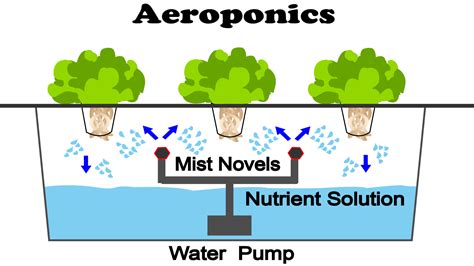 Aeroponics - NoSoilSolutions