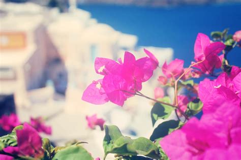 Our Best Travel Tips and Guide for Visiting Santorini Greece - Classy Mommy