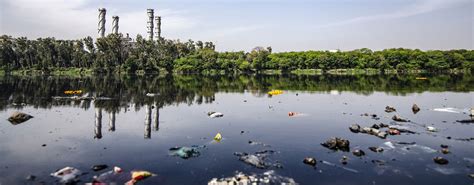 Lake Pollution Solutions | Polluted Lake Cleanup