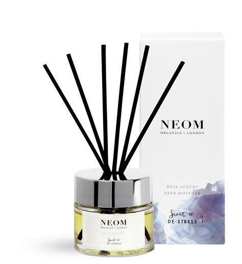 12 of the best reed diffusers | Real Homes