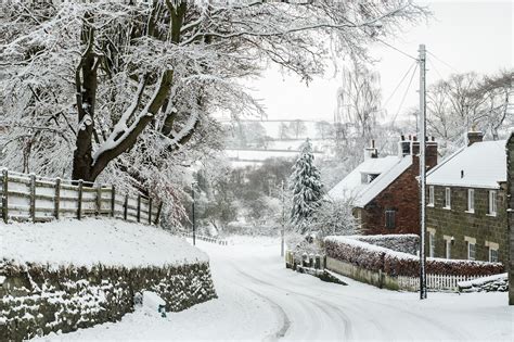 Free photo: Winter village scene - Branch, Plant, Winter - Free ...