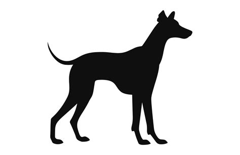 A Greyhound Dog black Silhouette vector free 37011167 Vector Art at ...