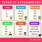 Determiner: Definition, Types, List and Useful Examples of Determiners • 7ESL