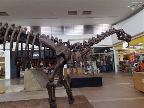 Titanosaurus skeleton - DinoPit