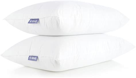 Amazon.com: 100% Made in USA Pillow – Queen Size Bed Pillows for Sleeping on All American ...