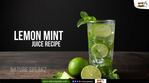 How to Make Lemon Mint Juice Recipe – Nature Speakz