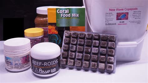 How to feed a coral reef tank | Reef Builders | The Reef and Saltwater Aquarium Blog