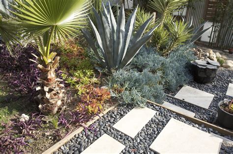 How Xeriscaping Can Change Your Texas Yard For Years To Come