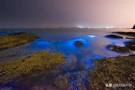 荧光海大概发生在什么时间（中国哪里有荧光海滩） - 生活 - 布条百科