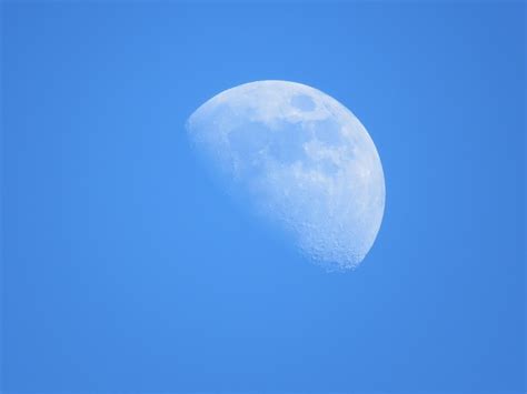 Blue Moon Daytime - Free photo on Pixabay - Pixabay