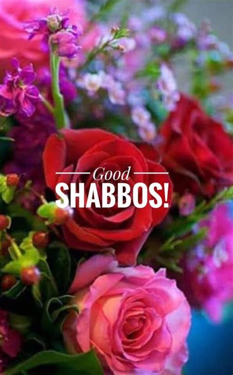 Pin by Debbie Halfon on Shabbat | Good shabbos, Shabbat shalom, Shabbat ...